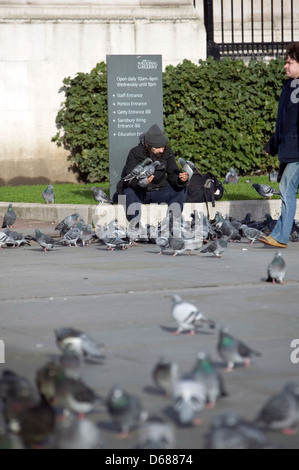 Les pigeons en dehors de la National Gallery, Londres, Angleterre, Royaume-Uni Banque D'Images