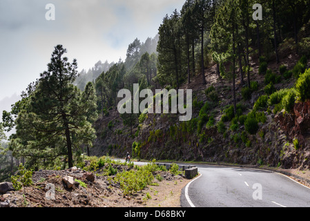 La Palma, Canary Islands - motocycliste sur la route LP-113 menant de Santa Cruz jusqu'à la Los Muchachos point le plus haut. Banque D'Images