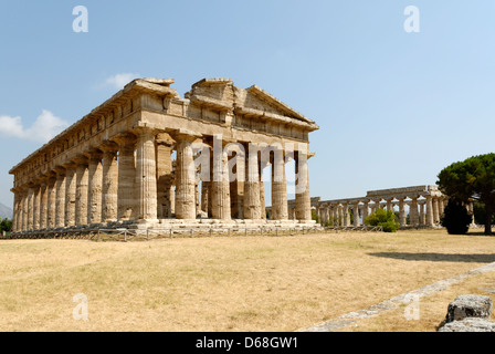 Paestum. La Campanie. L'Italie. Vue de l'arrière et du côté nord du temple de Poséidon (de Neptune). Banque D'Images