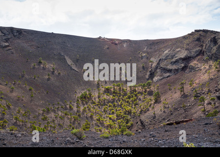 La Palma, Canary Islands - Parc des Volcans de San Antonio, Fuencaliente, au sud de l'île. Le cratère. Banque D'Images