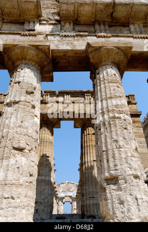 Paestum. La Campanie. L'Italie. Vue depuis l'arrière vers l'avant de le Temple de Poséidon (de Neptune). Banque D'Images