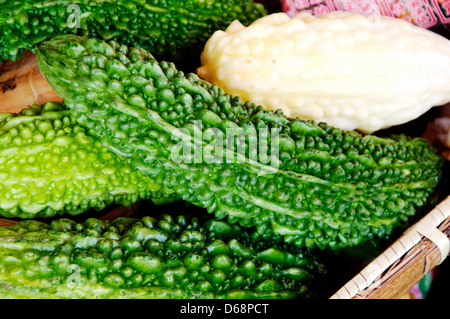 Goya Fruits, également appelé le melon amer. Ce légume est typique d'Okinawa et dit en très bonne santé. Banque D'Images