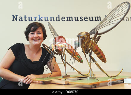 Ina biologiste Pokorny est assis à côté d'un modèle surdimensionné de moustique au Musée d'histoire naturelle de Berlin, Allemagne, 20 juillet 2012. Le musée offre une assistance administrative à la Centre Leibniz de recherche paysage agricole (ZALF) dans Muencheberg avec la chasse aux moustiques. Ils travaillent sur un moustique national atlas. Photo : Bernd Settnik Banque D'Images