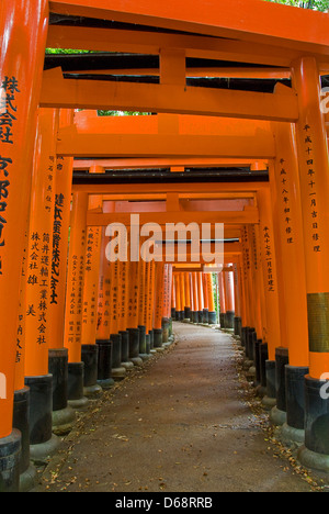 Torii de Fushimi Inari-taisha, Kyoto, Japon Banque D'Images