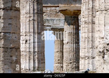 Paestum Italie. Vue rapprochée de colonnes de calcaire du Temple de Héra (Basilique) la ville ancienne. Banque D'Images