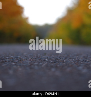 Cette image en gros plan présente les champignons puants de Brittlegill (Russula foetens), caractérisés par leurs couleurs vives et leur aspect distinctif. Ils se trouvent dans les zones boisées et sont reconnus pour leur odeur piquante. Banque D'Images