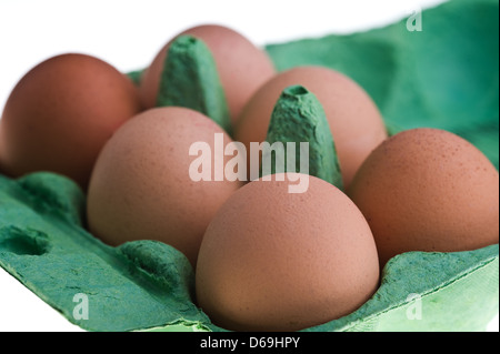 Brown six oeufs dans un carton d'cradboard Banque D'Images