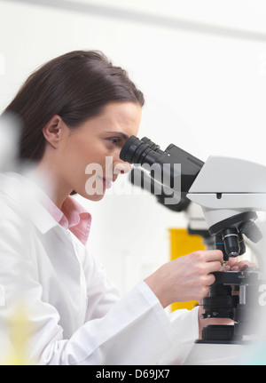 Scientist using microscope in lab Banque D'Images