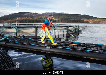 Le travailleur en milieu rural d'une ferme salmonicole lake Banque D'Images