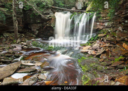 Chutes d'ELAKALA BLACKWATER FALLS STATE PARK WEST VIRGINIA USA Banque D'Images