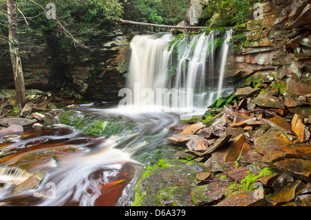 Chutes d'ELAKALA BLACKWATER FALLS STATE PARK WEST VIRGINIA USA Banque D'Images