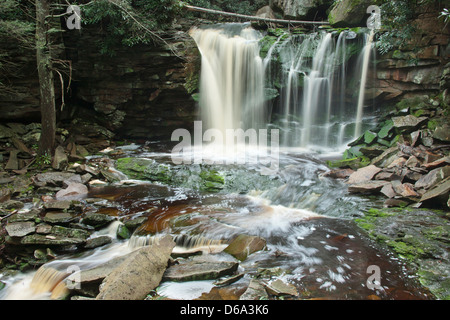 Chutes d'ELAKALA BLACKWATER FALLS STATE PARK WEST VIRGINIA USA Banque D'Images