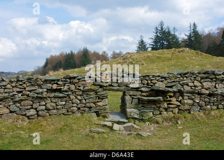 L'étape-stile à muret de pierres sèches, près de Windermere, Parc National de Lake District, Cumbria, Angleterre, Royaume-Uni Banque D'Images