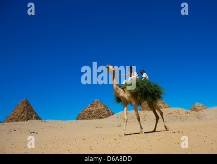 Enfants sur un chameau en face du Royal Pyramides de Napata, Nuri, Soudan Banque D'Images