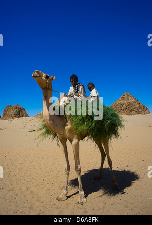 Enfants sur un chameau en face du Royal Pyramides de Napata, Nuri, Soudan Banque D'Images