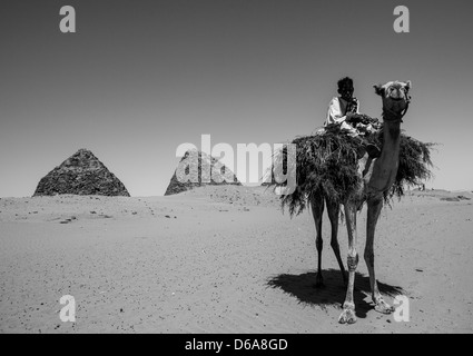 Enfants sur un chameau en face du Royal Pyramides de Napata, Nuri, Soudan Banque D'Images