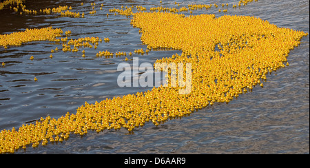 Des milliers de canards en plastique dans une course sur la rivière pour la charité Banque D'Images