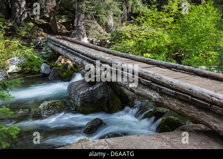 Pont enjambant le ruisseau de la neige le long du sentier des lacs de neige dans les enchantements, cascades, forêt nationale de Okanogan-Wenatchee Banque D'Images