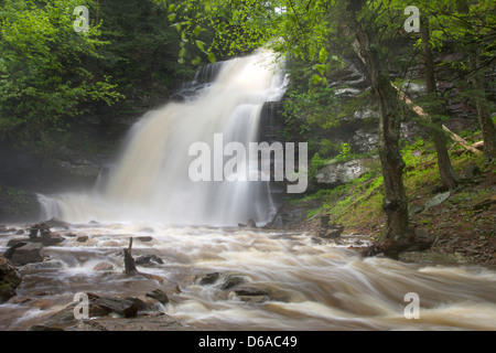 GANOGA TORRENT PRINTEMPS CUISINE CASCADE CREEK RICKETTS GLEN STATE PARK LUZERNE COMTÉ PENNSYLVANIA USA Banque D'Images