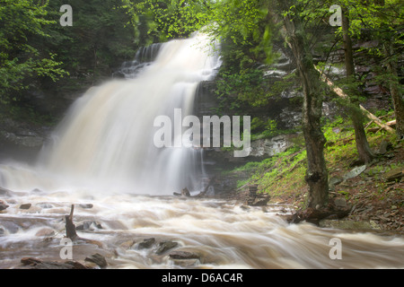 GANOGA TORRENT PRINTEMPS CUISINE CASCADE CREEK RICKETTS GLEN STATE PARK LUZERNE COMTÉ PENNSYLVANIA USA Banque D'Images