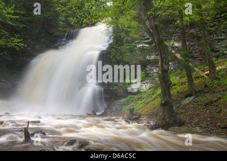 GANOGA TORRENT PRINTEMPS CUISINE CASCADE CREEK RICKETTS GLEN STATE PARK LUZERNE COMTÉ PENNSYLVANIA USA Banque D'Images