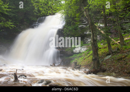 GANOGA TORRENT PRINTEMPS CUISINE CASCADE CREEK RICKETTS GLEN STATE PARK LUZERNE COMTÉ PENNSYLVANIA USA Banque D'Images