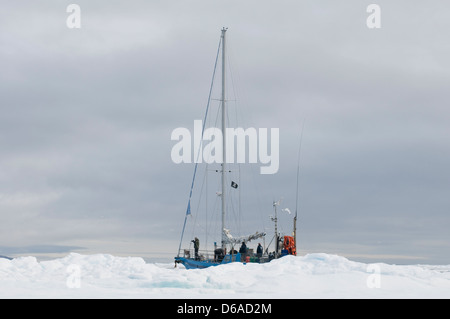 La Norvège, l'archipel du Svalbard, Spitzberg. Les photographes via une coque acier voilier à faire le tour de l'archipel Banque D'Images