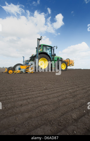 Betterave à sucre de forage dans le Lincolnshire Fens Banque D'Images