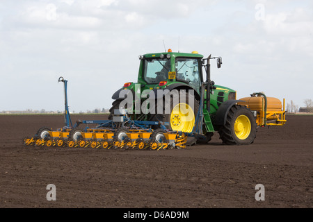 Betterave à sucre de forage dans le Lincolnshire Fens Banque D'Images