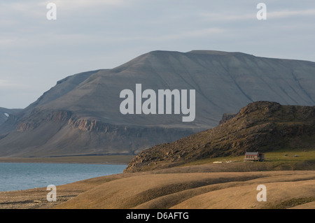 La Norvège, l'archipel du Svalbard, Spitzberg, Sassenfjorden. Chalet de villégiature le long de la pittoresque côte en été. Banque D'Images