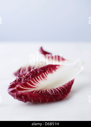 Close up de feuilles de radicchio Banque D'Images
