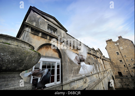 Vue générale du pont Pulteney Bath Somerset UK Banque D'Images