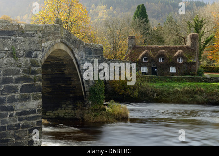 Tu Hwnt j'r Bont plateau prix entouré de couleurs d'automne sur un matin ensoleillé. Llanrwst, Conwy, Pays de Galles, Royaume-Uni. Banque D'Images