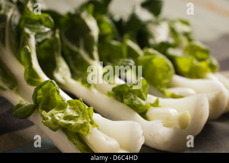 Frais crus petits bok choy Banque D'Images