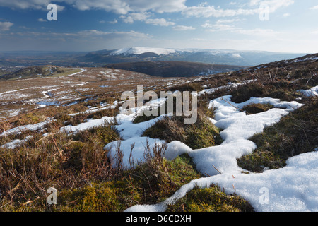 Plaques de fonte de neige, sur les pentes du mont du Pain de Sucre. Près d'Abergavenny. Le Parc National des Brecon Beacons. Pays de Galles, Royaume-Uni. Banque D'Images