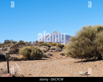 Randonnées dans le parc national de Teide à Tenerife Espagne, sentier n° 20, signer, avec vue sur le Mont Teide Volcano Banque D'Images