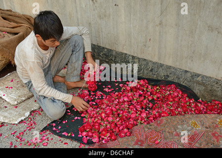 Une jeunesse indienne a sélectionné des fleurs faisant des guirlandes avec des fleurs pour le festival Diwali à Delhi, en Inde Banque D'Images
