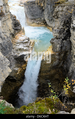 Tokumm et Marble Canyon Creek dans le Parc National de Kootenay en Colombie-Britannique, Canada Banque D'Images