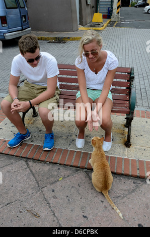 Cat à aborder les gens dans la région de Old San Juan, Puerto Rico Banque D'Images