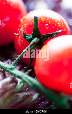 Les tomates sur des feuilles de laitue Banque D'Images