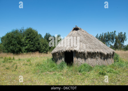 Hutte de chaume Mapuche traditionnels à Temuco, Chili Banque D'Images