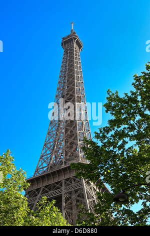 La tour Eiffel parmi les arbres Banque D'Images