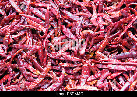 Piments rouges séchés en Asie du sud-est du marché Contexte humide Banque D'Images