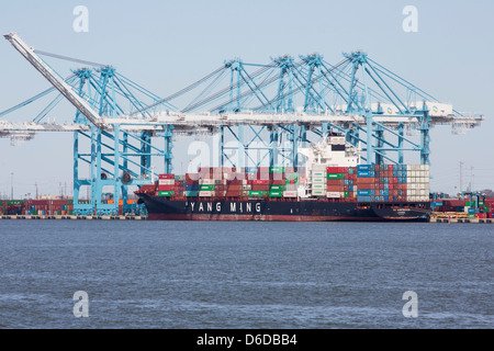 Une expédition par conteneur terminal du Port de Virginie à Norfolk. Banque D'Images