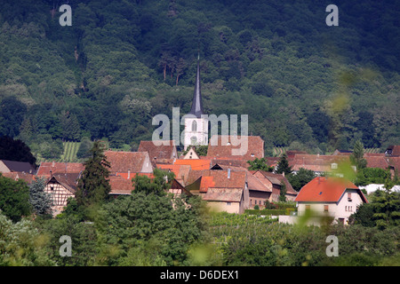 Village de vignes en Alsace, France Banque D'Images