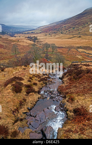 En regardant une vallée dans le parc national de Brecon Beacons Banque D'Images