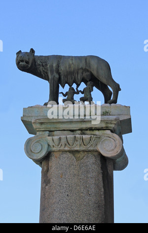 Capitole Wolf Banque D'Images