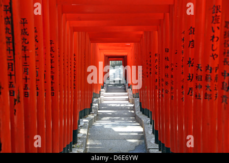 Portes Torii rouge et les étapes de l'entrée du Sanctuaire Shinto Hie-Jinja à Tokyo, Japon Banque D'Images