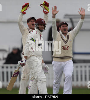 Londres, Royaume-Uni. 17 avril, 2013. Steven Davies de Surrey CCC et Greame Smith de Surrey appel de l'IPN sur Marcus Trescothick de Somerset CCC au cours de la LV County Championship Division 1 match entre Surrey et Somerset de l'Ovale. Banque D'Images