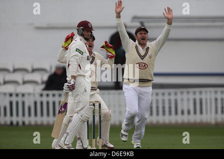 Londres, Royaume-Uni. 17 avril, 2013. Steven Davies de Surrey CCC et Greame Smith de Surrey appel de l'IPN sur Marcus Trescothick de Somerset CCC au cours de la LV County Championship Division 1 match entre Surrey et Somerset de l'Ovale. Banque D'Images